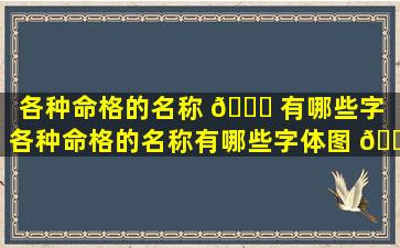 各种命格的名称 🐅 有哪些字「各种命格的名称有哪些字体图 🐵 片」